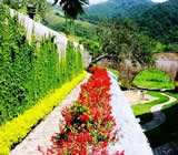 Paisagismo em Santa Bárbara d'Oeste